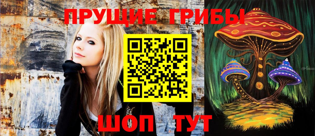 где найти наркотики  Вход с VPN  Новочебоксарск  Галлюциногенные грибы Magic Shrooms 