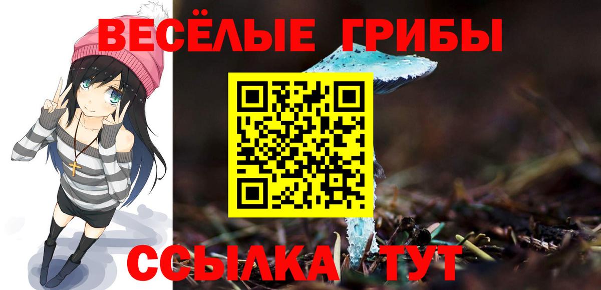 Псилоцибиновые грибы Psilocybe Новочебоксарск
